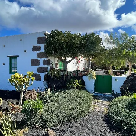 Moises Art House